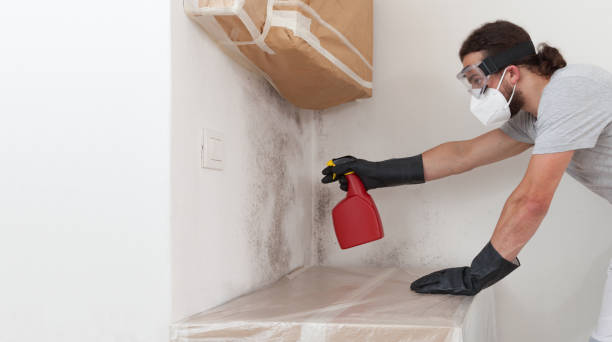 Professional Attic Mold Remediation technician working in Weems, VA