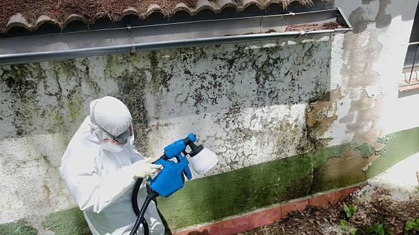 Top rated local Attic Mold Remediation specialists in Weems, VA